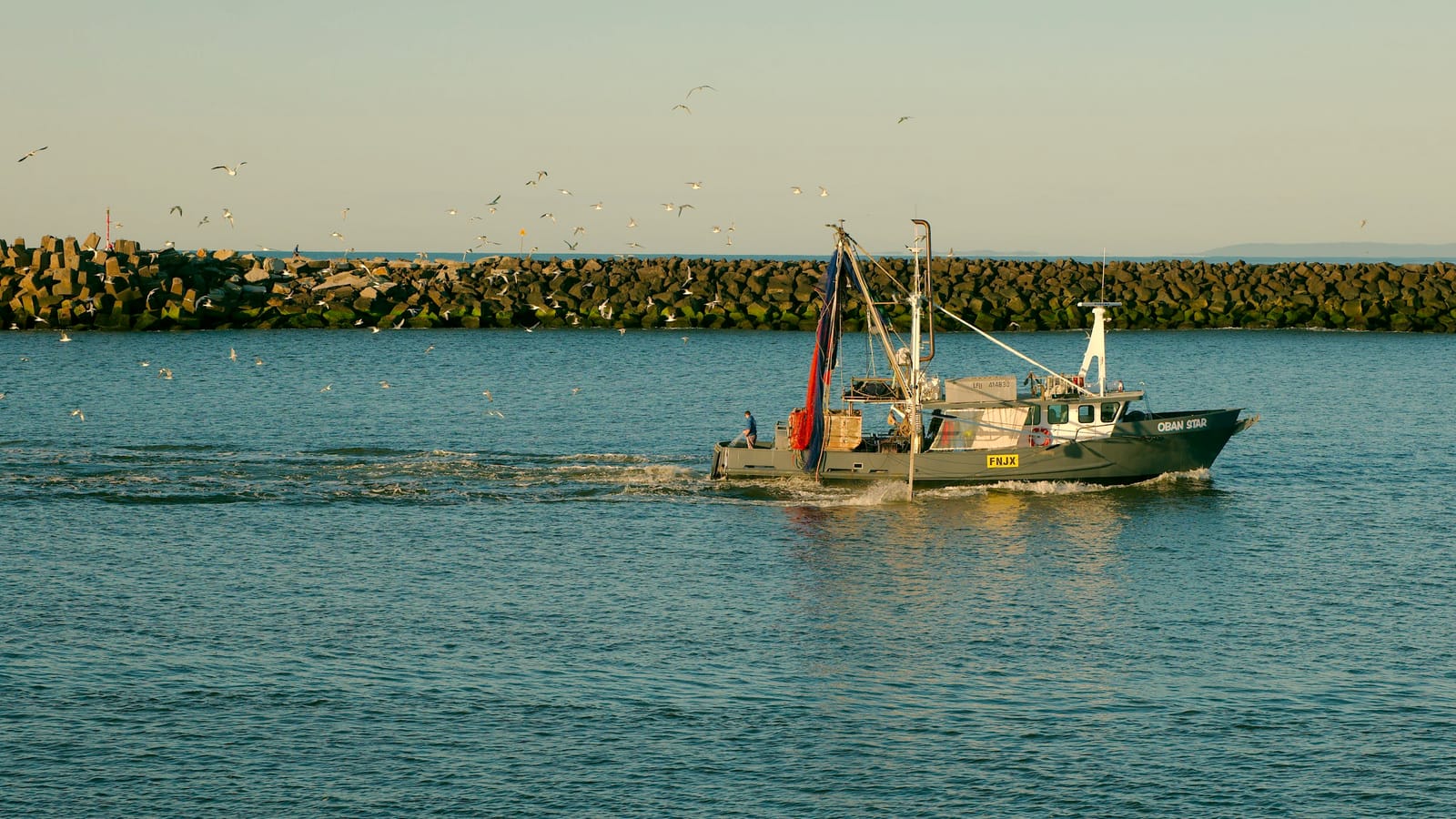 Ballina NSW — tip runs and rubbish removal service area